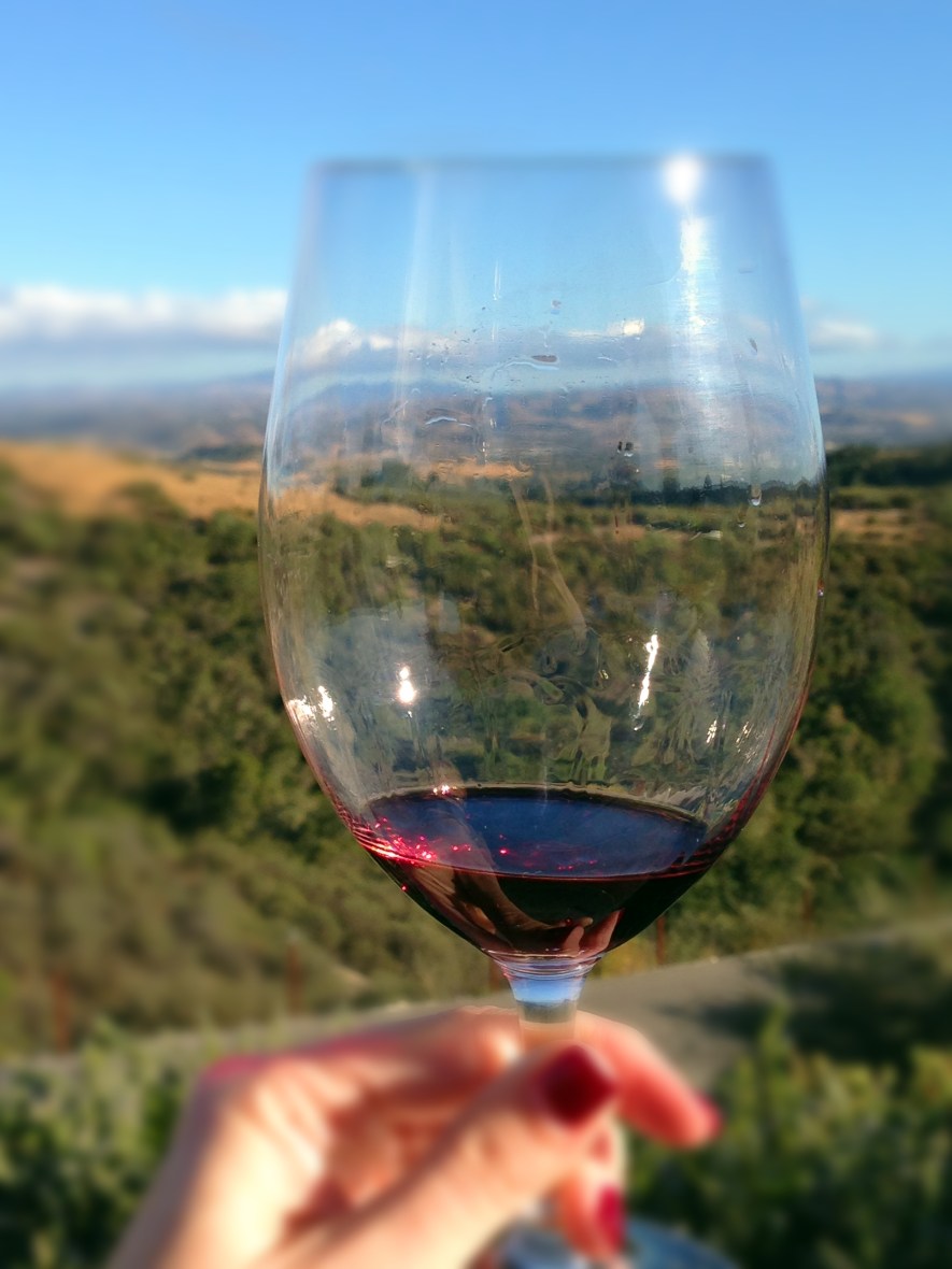 View from Calcareous Glass