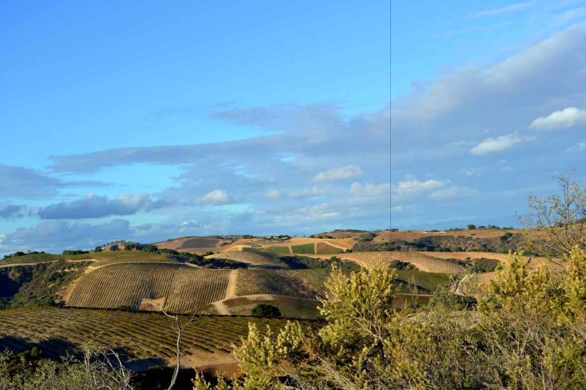 Hills of Paso Robles