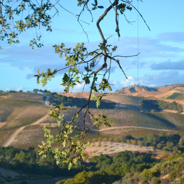 Paso Robles Jeep Tour