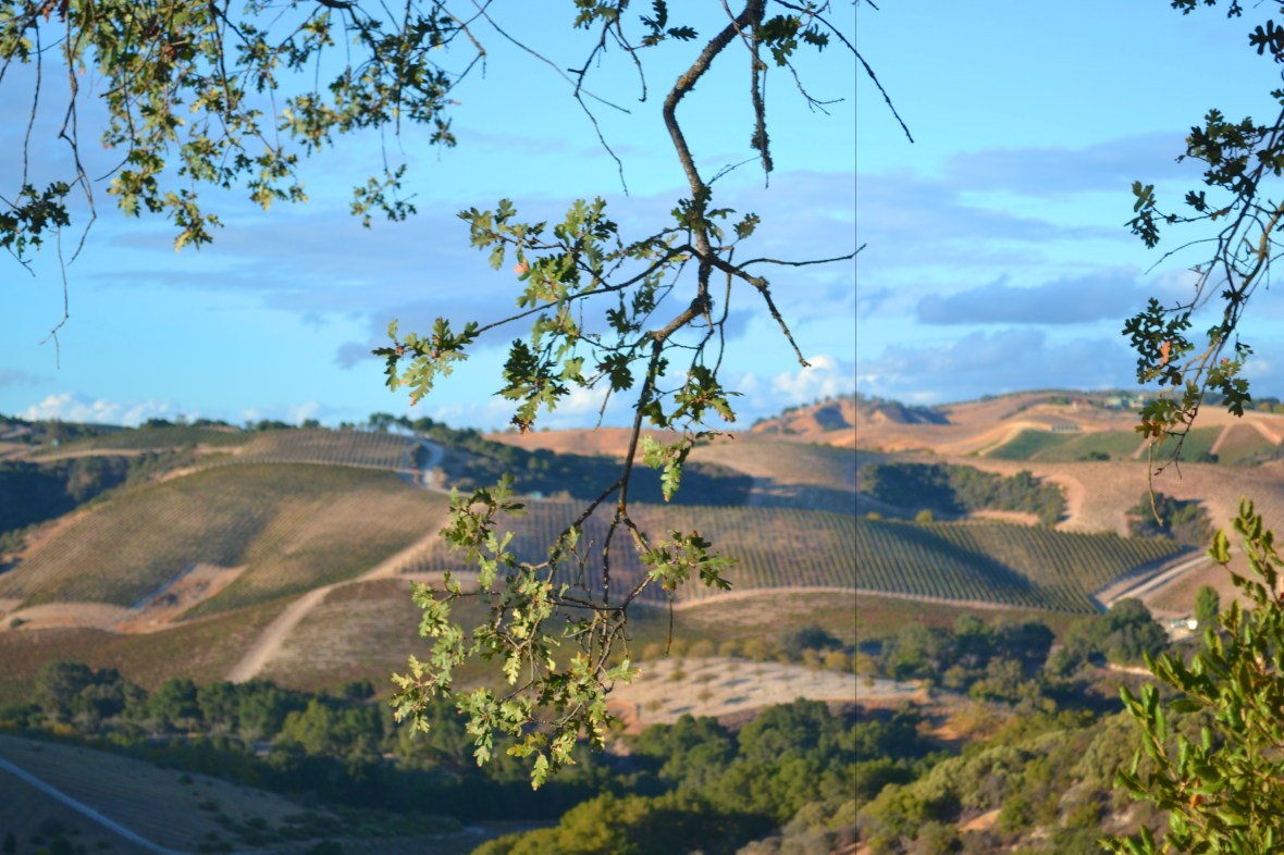 Paso Robles Jeep Tour