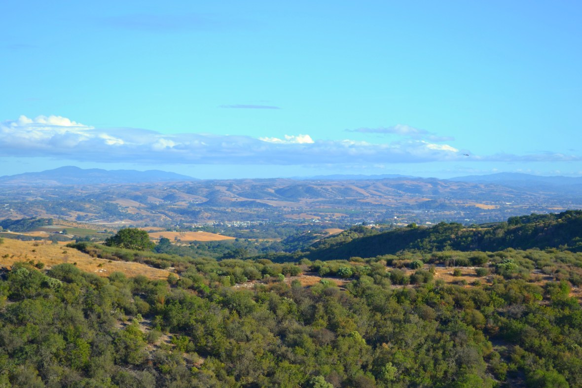 View From Calcareous