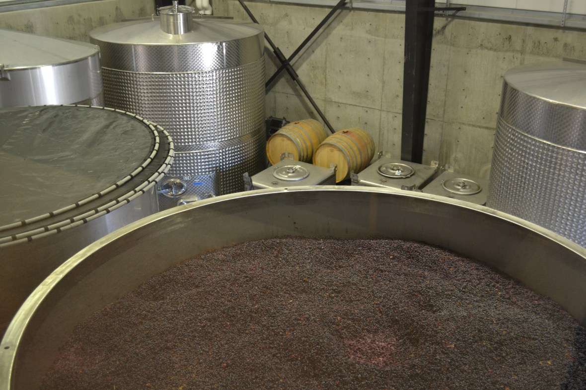 Sextant - Tasting Room View